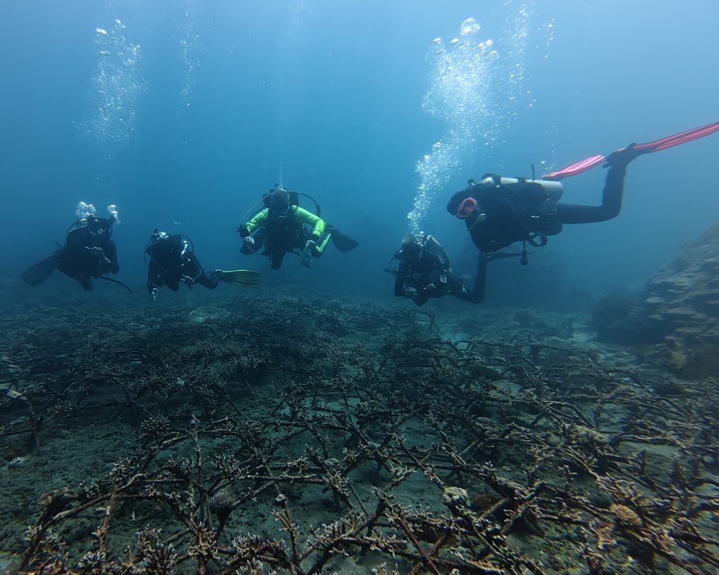 We Do OCEAN Team beim Korallenrestaurierung-Tauchgang in Bias Tugal, Padang Bai, Bali | We Do OCEAN team during coral restoration dive at Bias Tugal, Padang Bai, Bali